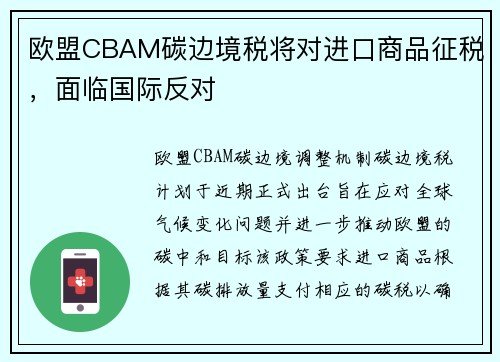 欧盟CBAM碳边境税将对进口商品征税，面临国际反对